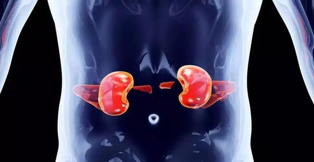 “不舒服多喝水”真的对所有人都适合么?休闲区蓝鸢梦想 - Www.slyday.coM “不舒服多喝水”真的对所有人都适合么?休闲区蓝鸢梦想 - Www.slyday.coM