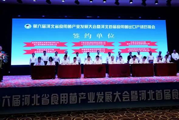 泉森源科技,泉森源科技有限公司