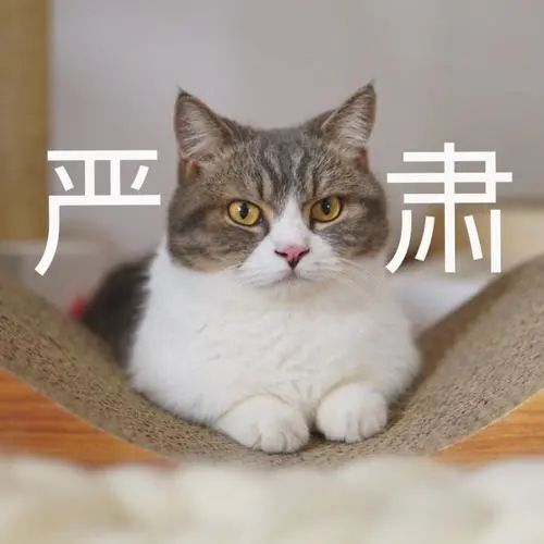 海南交警:即日起严查!后排乘客不系安全带!罚!休闲区蓝鸢梦想 - Www.slyday.coM 海南交警:即日起严查!后排乘客不系安全带!罚!休闲区蓝鸢梦想 - Www.slyday.coM