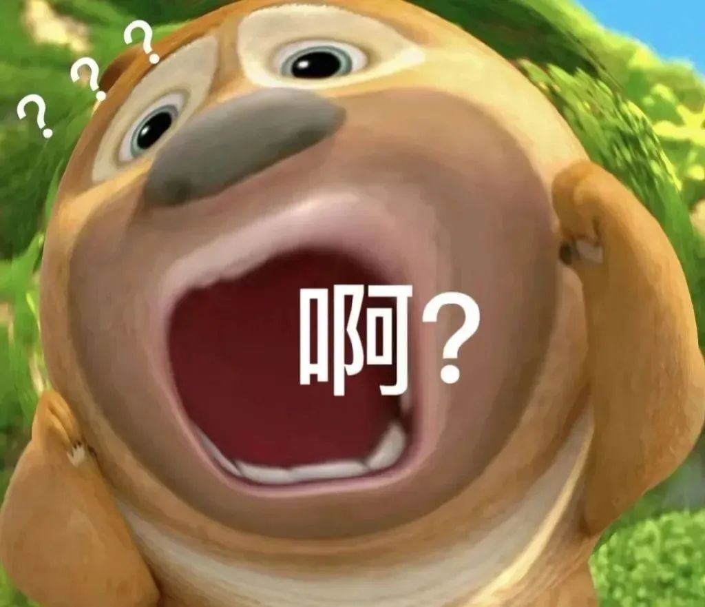 熊大的责任有多少