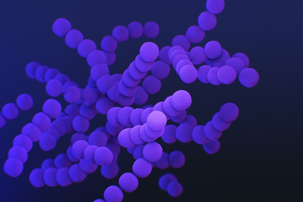 专家称猴痘不会在中国大范围爆发休闲区蓝鸢梦想 - Www.slyday.coM 专家称猴痘不会在中国大范围爆发休闲区蓝鸢梦想 - Www.slyday.coM