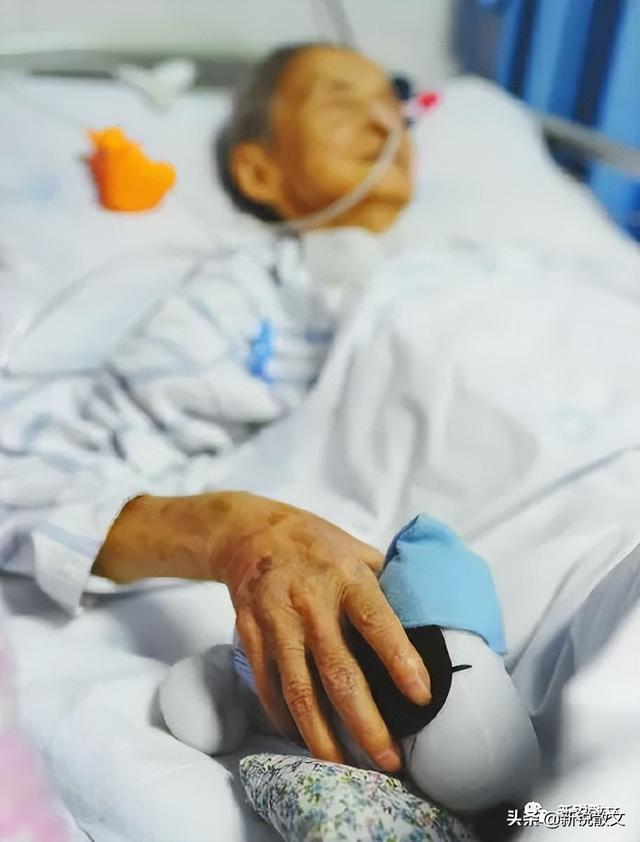 遇见你,我年轻的的母亲,我说了这么多,你懂了吗休闲区蓝鸢梦想 - Www.slyday.coM 遇见你,我年轻的的母亲,我说了这么多,你懂了吗休闲区蓝鸢梦想 - Www.slyday.coM