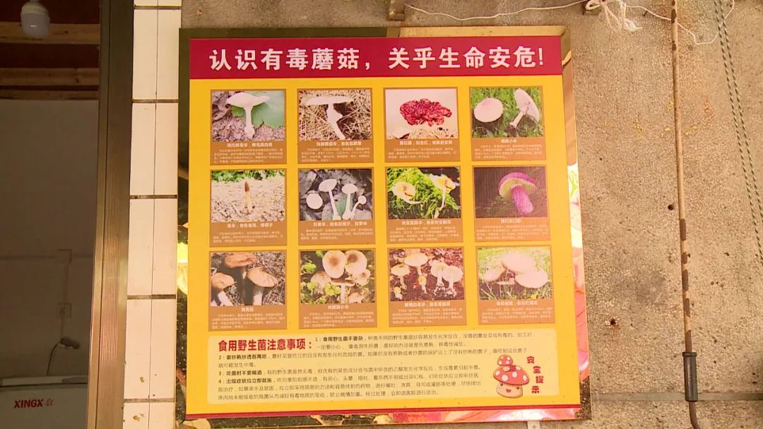 湖南15岁女孩误食毒蘑菇,首次置换血浆2000毫升休闲区蓝鸢梦想 - Www.slyday.coM 湖南15岁女孩误食毒蘑菇,首次置换血浆2000毫升休闲区蓝鸢梦想 - Www.slyday.coM