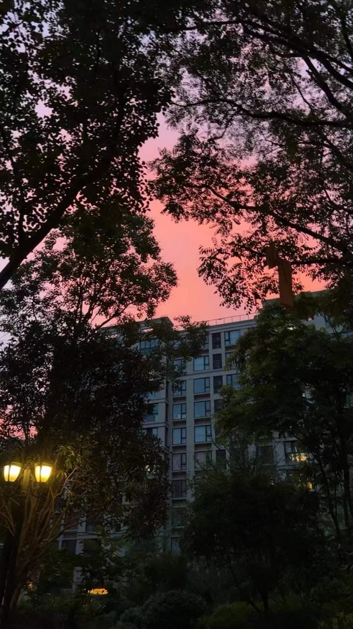 杭州有多浪漫,今晚的天空是粉红色的!有人说:夏天经常会让人摆脱焦虑相信奇迹休闲区蓝鸢梦想 - Www.slyday.coM 杭州有多浪漫,今晚的天空是粉红色的!有人说:夏天经常会让人摆脱焦虑相信奇迹休闲区蓝鸢梦想 - Www.slyday.coM