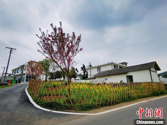 图为贵阳市乌当区甲岗村,用篱笆围成的小菜园。 周燕玲 摄