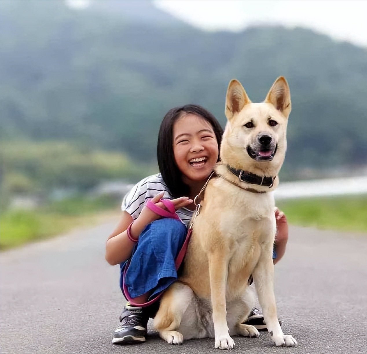 为什么说“中华田园犬”是最不值钱的狗?休闲区蓝鸢梦想 - Www.slyday.coM 为什么说“中华田园犬”是最不值钱的狗?休闲区蓝鸢梦想 - Www.slyday.coM