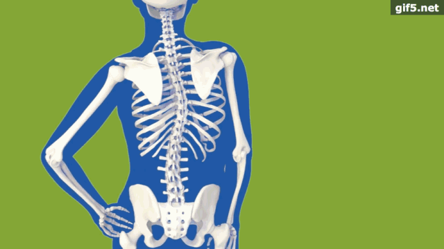 “天才儿子”金晓宇接受眼科手术 / 全球避孕套卖不动了休闲区蓝鸢梦想 - Www.slyday.coM “天才儿子”金晓宇接受眼科手术 / 全球避孕套卖不动了休闲区蓝鸢梦想 - Www.slyday.coM