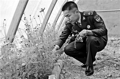 天路“驿站”,高原军人永远的“家”——风雪征途,愿为你守候温暖四季休闲区蓝鸢梦想 - Www.slyday.coM 天路“驿站”,高原军人永远的“家”——风雪征途,愿为你守候温暖四季休闲区蓝鸢梦想 - Www.slyday.coM