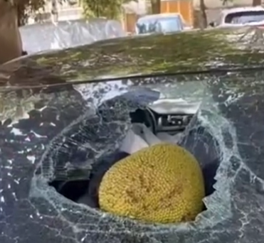 “天才儿子”金晓宇接受眼科手术 / 全球避孕套卖不动了休闲区蓝鸢梦想 - Www.slyday.coM “天才儿子”金晓宇接受眼科手术 / 全球避孕套卖不动了休闲区蓝鸢梦想 - Www.slyday.coM