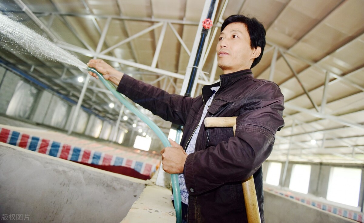 猪价破10块,收猪的整懵逼了,为什么涨的这么猛?休闲区蓝鸢梦想 - Www.slyday.coM 猪价破10块,收猪的整懵逼了,为什么涨的这么猛?休闲区蓝鸢梦想 - Www.slyday.coM