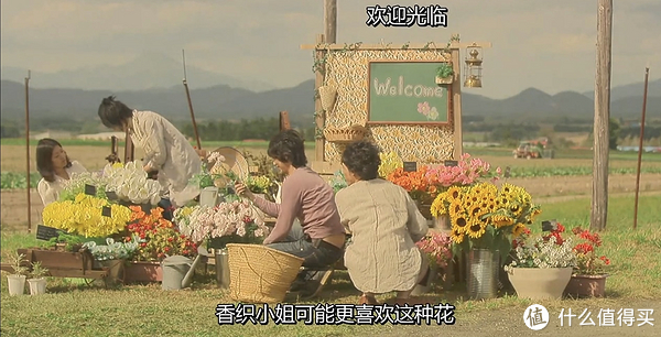 除了《小森林》和《海街日记》,10部压箱底的夏日治愈影片不容错过!休闲区蓝鸢梦想 - Www.slyday.coM 除了《小森林》和《海街日记》,10部压箱底的夏日治愈影片不容错过!休闲区蓝鸢梦想 - Www.slyday.coM