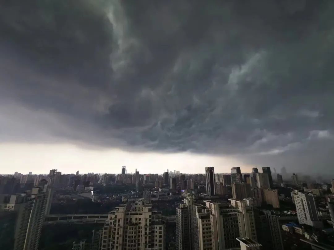 上海今天集齐5个气象预警!暴雨后气温暴跌,梅雨后双台风要来?休闲区蓝鸢梦想 - Www.slyday.coM 上海今天集齐5个气象预警!暴雨后气温暴跌,梅雨后双台风要来?休闲区蓝鸢梦想 - Www.slyday.coM