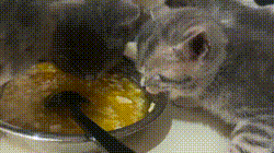 每日一笑:女生千万不要穿阔腿裤坐电动车!休闲区蓝鸢梦想 - Www.slyday.coM 每日一笑:女生千万不要穿阔腿裤坐电动车!休闲区蓝鸢梦想 - Www.slyday.coM