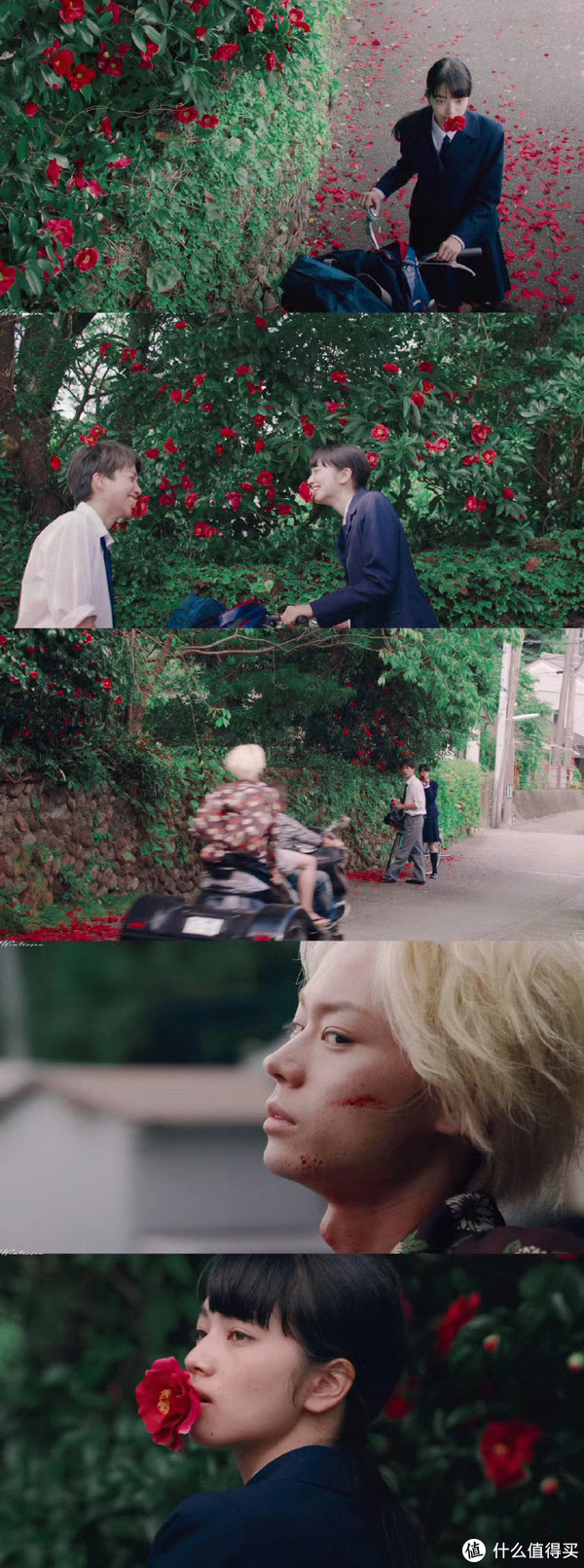 除了《小森林》和《海街日记》,10部压箱底的夏日治愈影片不容错过!休闲区蓝鸢梦想 - Www.slyday.coM 除了《小森林》和《海街日记》,10部压箱底的夏日治愈影片不容错过!休闲区蓝鸢梦想 - Www.slyday.coM