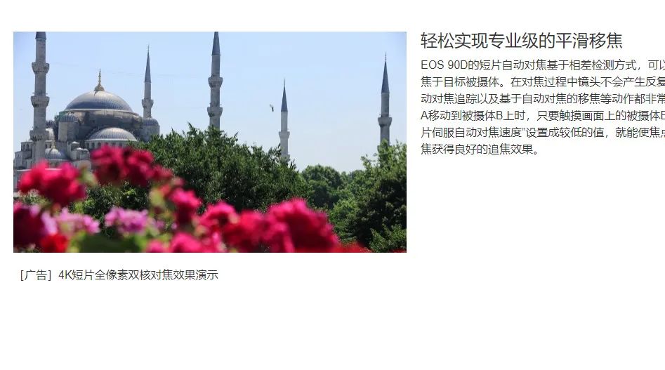 尼康Z30发布了,少了电子取景器,可调对焦速度,值得买吗?休闲区蓝鸢梦想 - Www.slyday.coM 尼康Z30发布了,少了电子取景器,可调对焦速度,值得买吗?休闲区蓝鸢梦想 - Www.slyday.coM