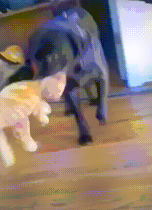 每日一笑:女生千万不要穿阔腿裤坐电动车!休闲区蓝鸢梦想 - Www.slyday.coM 每日一笑:女生千万不要穿阔腿裤坐电动车!休闲区蓝鸢梦想 - Www.slyday.coM