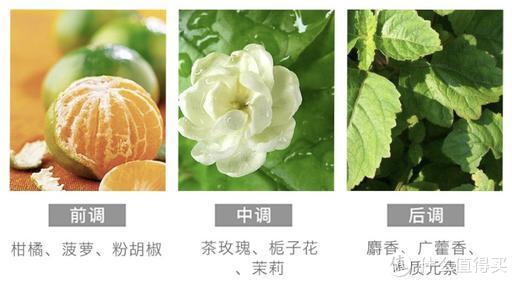 任何人不知道这几个又好看又好闻的Q版香水,我都会伤心的OK?!休闲区蓝鸢梦想 - Www.slyday.coM 任何人不知道这几个又好看又好闻的Q版香水,我都会伤心的OK?!休闲区蓝鸢梦想 - Www.slyday.coM