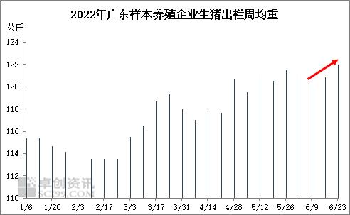 6月生猪价格超预期上涨,压栏生猪或限制7月涨幅休闲区蓝鸢梦想 - Www.slyday.coM 6月生猪价格超预期上涨,压栏生猪或限制7月涨幅休闲区蓝鸢梦想 - Www.slyday.coM