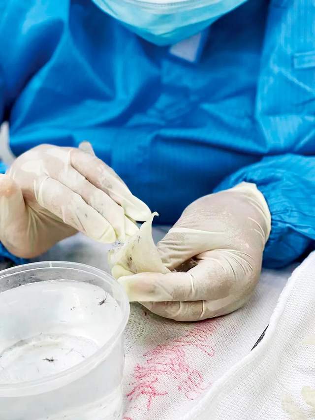 “贴码”问题泛滥,你买到的是“真”燕窝吗?休闲区蓝鸢梦想 - Www.slyday.coM “贴码”问题泛滥,你买到的是“真”燕窝吗?休闲区蓝鸢梦想 - Www.slyday.coM