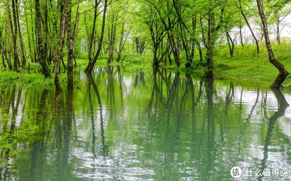浙江省内四条神仙路线,也太适合自驾了吧!休闲区蓝鸢梦想 - Www.slyday.coM 浙江省内四条神仙路线,也太适合自驾了吧!休闲区蓝鸢梦想 - Www.slyday.coM