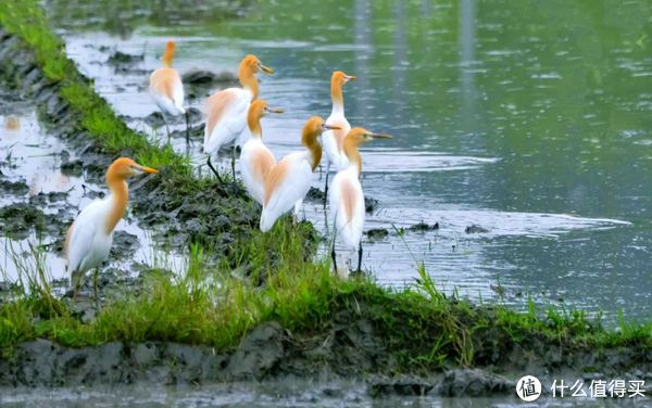 浙江省内四条神仙路线,也太适合自驾了吧!休闲区蓝鸢梦想 - Www.slyday.coM 浙江省内四条神仙路线,也太适合自驾了吧!休闲区蓝鸢梦想 - Www.slyday.coM