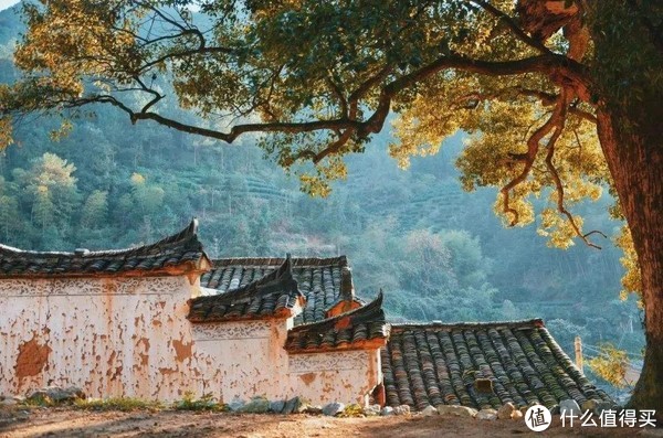 浙江省内四条神仙路线,也太适合自驾了吧!休闲区蓝鸢梦想 - Www.slyday.coM 浙江省内四条神仙路线,也太适合自驾了吧!休闲区蓝鸢梦想 - Www.slyday.coM