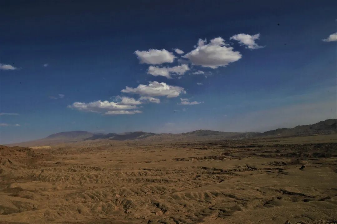 兔狲的家乡也太旱了,蛇都被晒成了干儿!休闲区蓝鸢梦想 - Www.slyday.coM 兔狲的家乡也太旱了,蛇都被晒成了干儿!休闲区蓝鸢梦想 - Www.slyday.coM