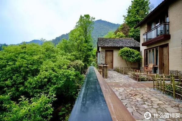 浙江省内四条神仙路线,也太适合自驾了吧!休闲区蓝鸢梦想 - Www.slyday.coM 浙江省内四条神仙路线,也太适合自驾了吧!休闲区蓝鸢梦想 - Www.slyday.coM