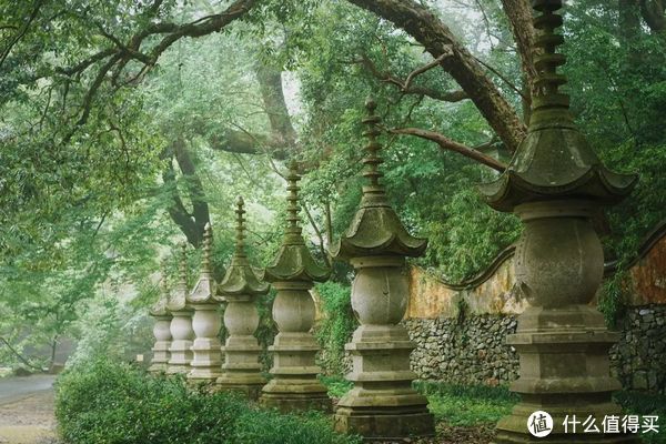 浙江省内四条神仙路线,也太适合自驾了吧!休闲区蓝鸢梦想 - Www.slyday.coM 浙江省内四条神仙路线,也太适合自驾了吧!休闲区蓝鸢梦想 - Www.slyday.coM