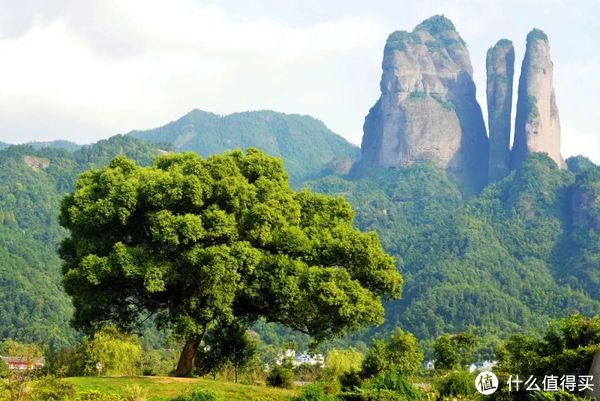 浙江省内四条神仙路线,也太适合自驾了吧!休闲区蓝鸢梦想 - Www.slyday.coM 浙江省内四条神仙路线,也太适合自驾了吧!休闲区蓝鸢梦想 - Www.slyday.coM