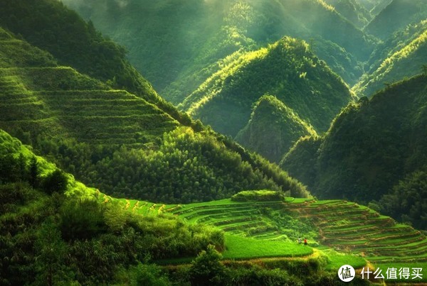 浙江省内四条神仙路线,也太适合自驾了吧!休闲区蓝鸢梦想 - Www.slyday.coM 浙江省内四条神仙路线,也太适合自驾了吧!休闲区蓝鸢梦想 - Www.slyday.coM