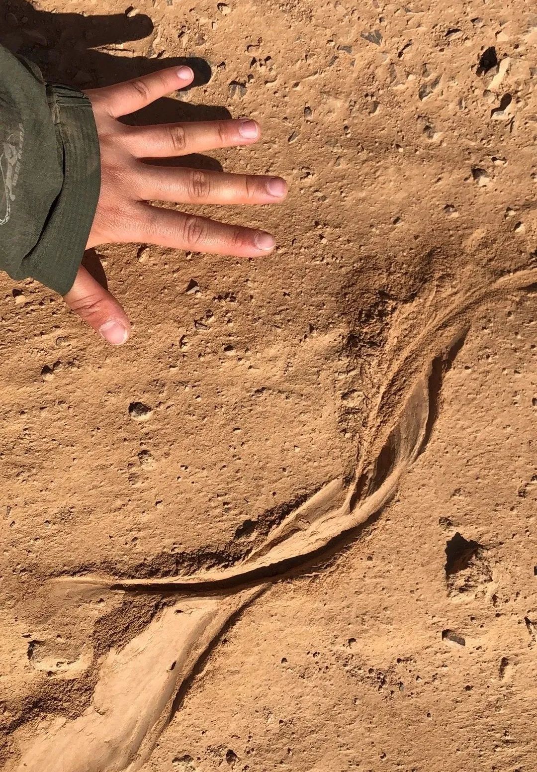 兔狲的家乡也太旱了,蛇都被晒成了干儿!休闲区蓝鸢梦想 - Www.slyday.coM 兔狲的家乡也太旱了,蛇都被晒成了干儿!休闲区蓝鸢梦想 - Www.slyday.coM