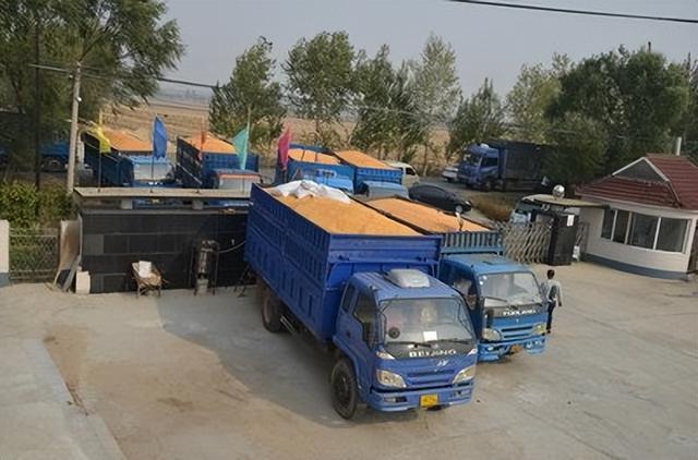 7月1日猪价“骤变”,羊价起飞,玉米、蛋价一地鸡毛,发生了啥?休闲区蓝鸢梦想 - Www.slyday.coM 7月1日猪价“骤变”,羊价起飞,玉米、蛋价一地鸡毛,发生了啥?休闲区蓝鸢梦想 - Www.slyday.coM