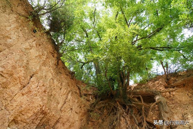 64岁农民大叔当干部21年,终生不娶原因“奇葩”,看活成啥样休闲区蓝鸢梦想 - Www.slyday.coM 64岁农民大叔当干部21年,终生不娶原因“奇葩”,看活成啥样休闲区蓝鸢梦想 - Www.slyday.coM