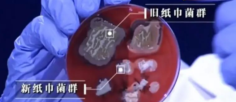 这种常见的卫生纸竟携带致病菌!看看你还在用吗?休闲区蓝鸢梦想 - Www.slyday.coM 这种常见的卫生纸竟携带致病菌!看看你还在用吗?休闲区蓝鸢梦想 - Www.slyday.coM