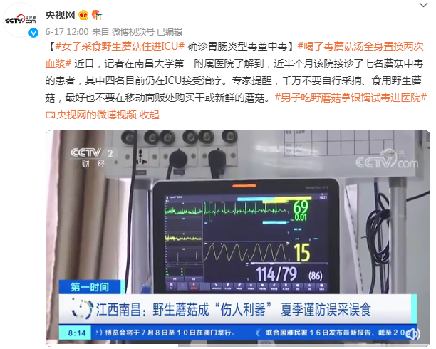 “红伞白杆”可能并不是最毒的蘑菇,真正可怕的其实是……休闲区蓝鸢梦想 - Www.slyday.coM “红伞白杆”可能并不是最毒的蘑菇,真正可怕的其实是……休闲区蓝鸢梦想 - Www.slyday.coM