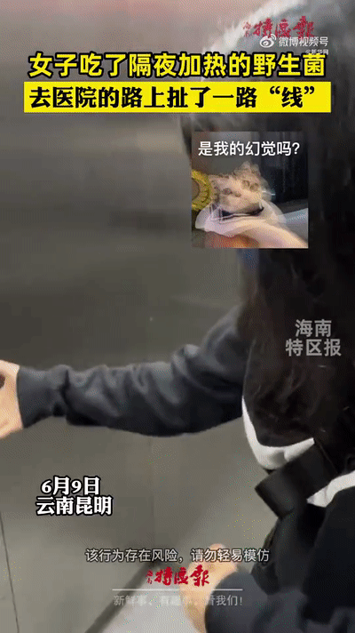 “红伞白杆”可能并不是最毒的蘑菇,真正可怕的其实是……休闲区蓝鸢梦想 - Www.slyday.coM “红伞白杆”可能并不是最毒的蘑菇,真正可怕的其实是……休闲区蓝鸢梦想 - Www.slyday.coM