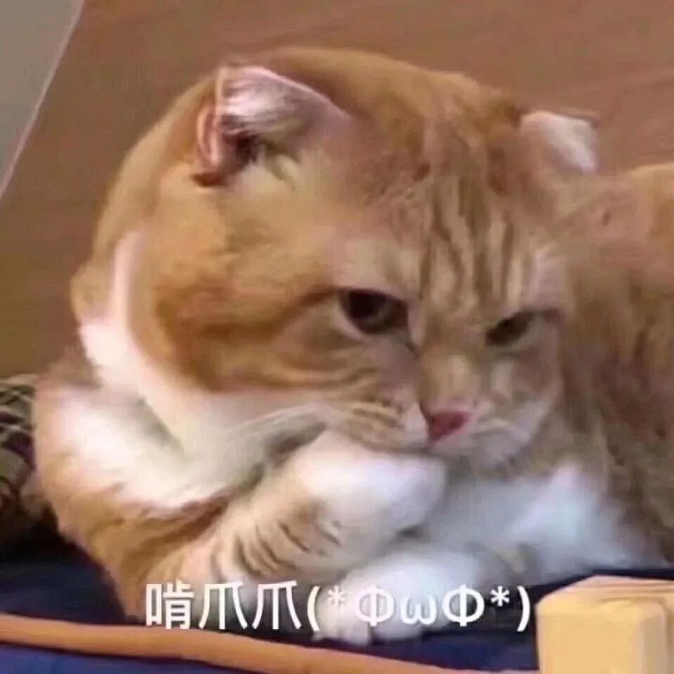 藏孕肚是顶流大婚前的必备技能?这么减肥对孩子颜值没影响吗…休闲区蓝鸢梦想 - Www.slyday.coM 藏孕肚是顶流大婚前的必备技能?这么减肥对孩子颜值没影响吗…休闲区蓝鸢梦想 - Www.slyday.coM