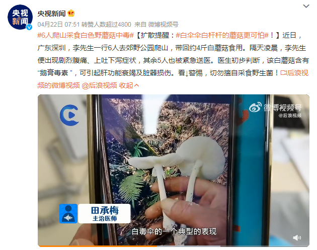 “红伞白杆”可能并不是最毒的蘑菇,真正可怕的其实是……休闲区蓝鸢梦想 - Www.slyday.coM “红伞白杆”可能并不是最毒的蘑菇,真正可怕的其实是……休闲区蓝鸢梦想 - Www.slyday.coM