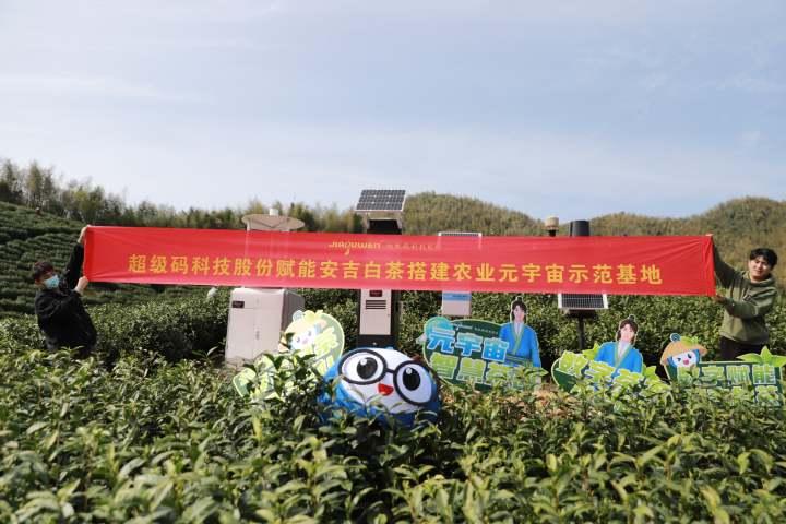 南京银行杭州分行:金融赋能 助力乡村振兴休闲区蓝鸢梦想 - Www.slyday.coM 南京银行杭州分行:金融赋能 助力乡村振兴休闲区蓝鸢梦想 - Www.slyday.coM