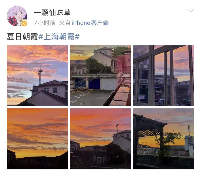 上海绝美彩霞你拍到了吗?台风蓝色预警发布!上海接下来天气…休闲区蓝鸢梦想 - Www.slyday.coM 上海绝美彩霞你拍到了吗?台风蓝色预警发布!上海接下来天气…休闲区蓝鸢梦想 - Www.slyday.coM