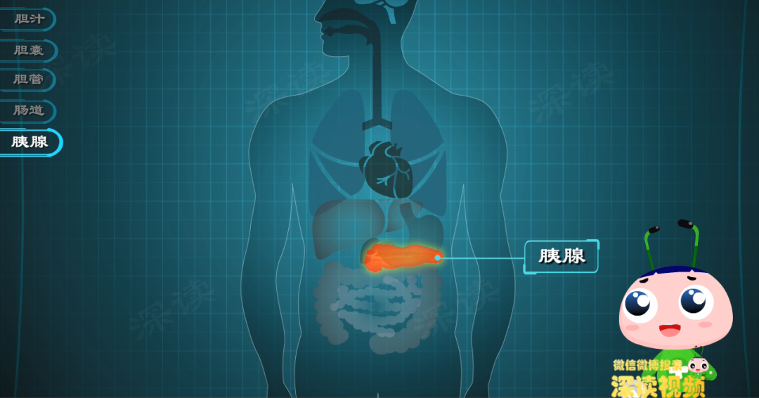 厌油恶心、腹泻、没胃口,快来看看你的胆汁是不是被胆管结石堵住了?休闲区蓝鸢梦想 - Www.slyday.coM 厌油恶心、腹泻、没胃口,快来看看你的胆汁是不是被胆管结石堵住了?休闲区蓝鸢梦想 - Www.slyday.coM