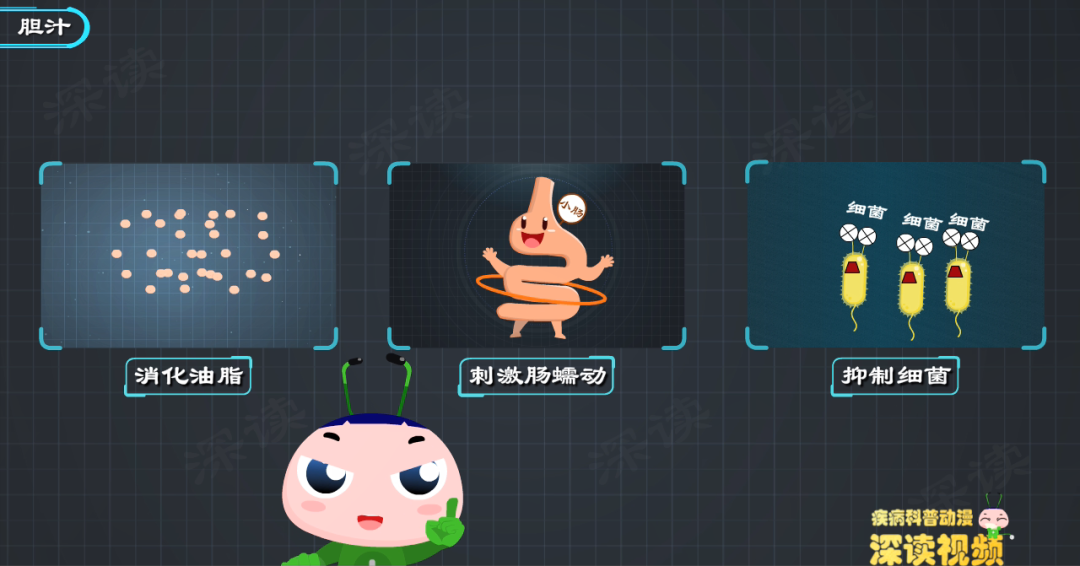 厌油恶心、腹泻、没胃口,快来看看你的胆汁是不是被胆管结石堵住了?休闲区蓝鸢梦想 - Www.slyday.coM 厌油恶心、腹泻、没胃口,快来看看你的胆汁是不是被胆管结石堵住了?休闲区蓝鸢梦想 - Www.slyday.coM