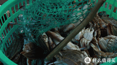 浙江省内四条神仙路线,也太适合自驾了吧!休闲区蓝鸢梦想 - Www.slyday.coM 浙江省内四条神仙路线,也太适合自驾了吧!休闲区蓝鸢梦想 - Www.slyday.coM