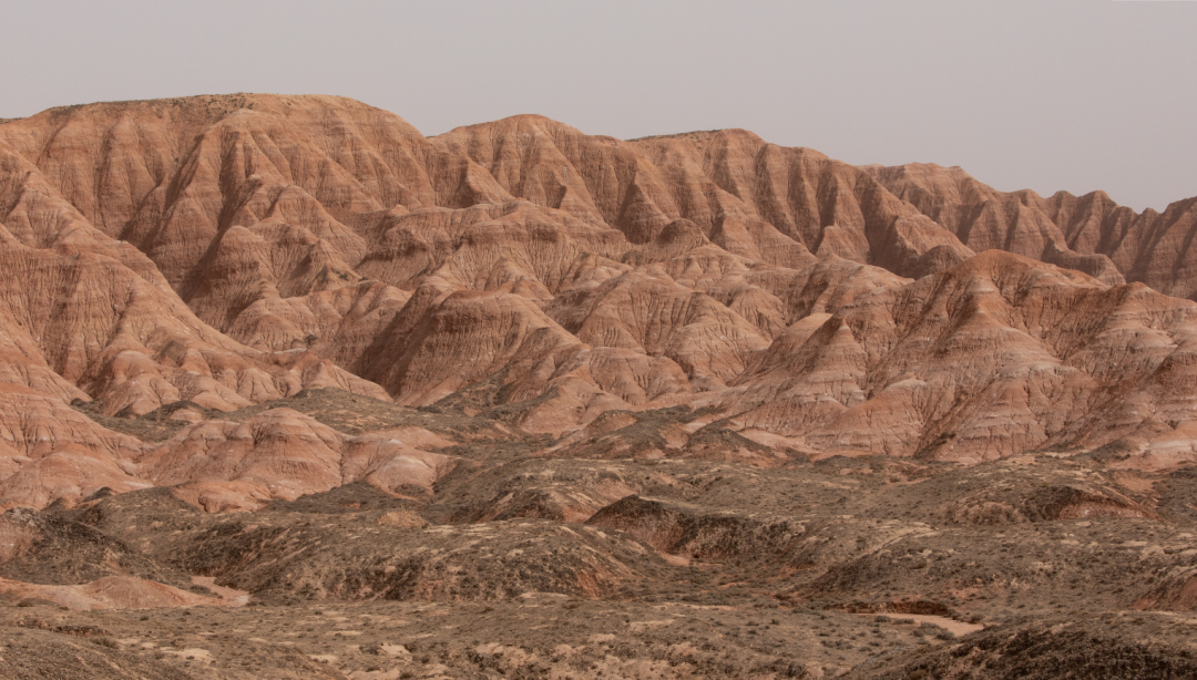 兔狲的家乡也太旱了,蛇都被晒成了干儿!休闲区蓝鸢梦想 - Www.slyday.coM 兔狲的家乡也太旱了,蛇都被晒成了干儿!休闲区蓝鸢梦想 - Www.slyday.coM