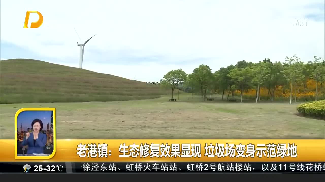 老港镇生态修复效果显现垃圾场变身示范绿地