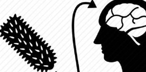 为什么狂犬病一旦发病就没治了?休闲区蓝鸢梦想 - Www.slyday.coM 为什么狂犬病一旦发病就没治了?休闲区蓝鸢梦想 - Www.slyday.coM