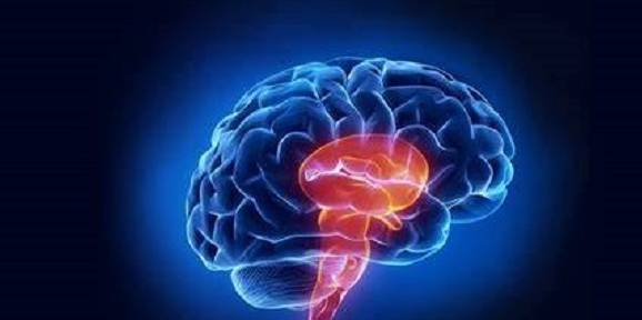 为什么狂犬病一旦发病就没治了?休闲区蓝鸢梦想 - Www.slyday.coM 为什么狂犬病一旦发病就没治了?休闲区蓝鸢梦想 - Www.slyday.coM