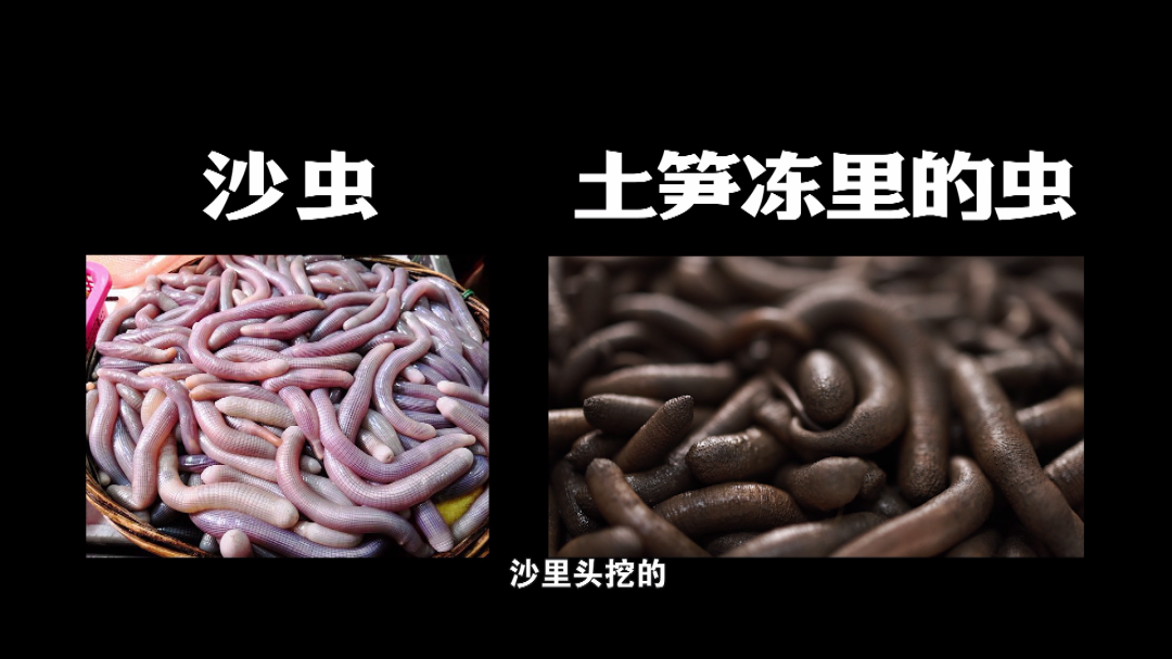 一边叫着“暗黑”一边吃着“真香”——海的味道谁吃谁知道休闲区蓝鸢梦想 - Www.slyday.coM 一边叫着“暗黑”一边吃着“真香”——海的味道谁吃谁知道休闲区蓝鸢梦想 - Www.slyday.coM