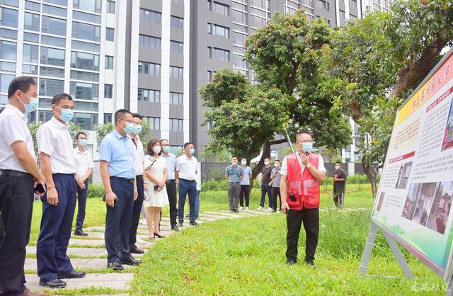 新造镇举办庆祝建党101周年暨古树公园揭幕活动|党建|番禺区|党员